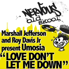 Love Don't Let Me Down (Wayne Gardiner's Soft Reprise Instrumental) Song Lyrics