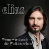 Wenn wir durch die Wolken sehen - Single album lyrics, reviews, download