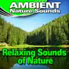 Relaxing Sounds of Nature (Nature Sounds) album lyrics, reviews, download