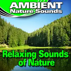 Relaxing Sounds of Nature (Nature Sounds) by Ambient Nature Sounds album reviews, ratings, credits