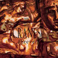 Forever by Cranes album reviews, ratings, credits
