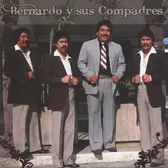 Amores Que Van y Vienen by Bernardo y Sus Compadres album reviews, ratings, credits
