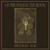 Shine Black Algiz / Hold My Hand - Single album lyrics, reviews, download