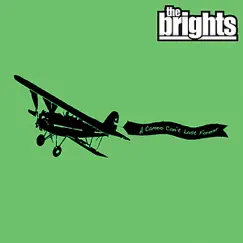 A Cameo Can't Last Forever - Single by The Brights album reviews, ratings, credits
