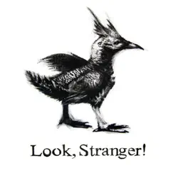Look, Stranger! - EP by Look, Stranger! album reviews, ratings, credits