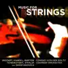 Concerto in G Minor for Two Cellos and Strings, RV 531: II. Largo song lyrics