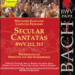 Mer Hahn en Neue Oberkeet, BWV 212, 