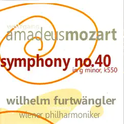 Symphony No. 40 In G Minor, K. 550: I. Molto Allegro Song Lyrics