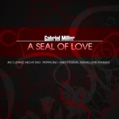 A Seal of Love (Peppelino Remix) Song Lyrics