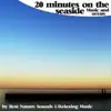 20 Minutes On the Seaside : Perfect Ocean album lyrics, reviews, download