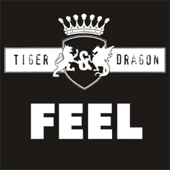 Feel (Nogales & Frank Sonic Remix) Song Lyrics