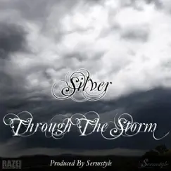 Through the Storm - Single by Silver album reviews, ratings, credits