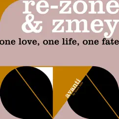 One Love, One Life, One Fate (Damasko Remix) Song Lyrics