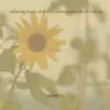 Relaxing Music & the Calming Sounds of Nature, Vol. 2 album lyrics, reviews, download