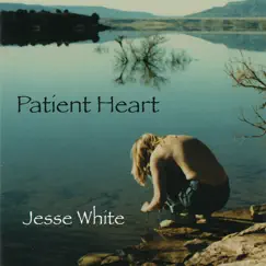 Patient Heart by Jesse White album reviews, ratings, credits