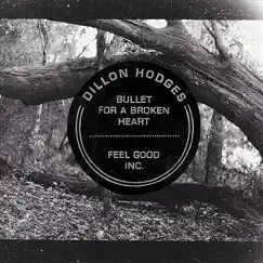 Bullet for a Broken Heart/Feel Good Inc - Single by Dillon Hodges album reviews, ratings, credits