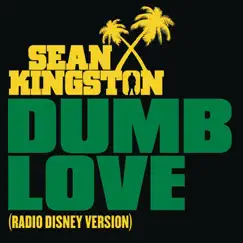 Dumb Love (Radio Disney Version) Song Lyrics