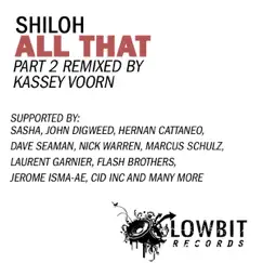 All That (Kassey Voorn Remix) Song Lyrics