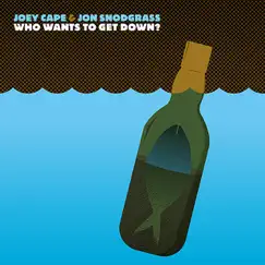 Who Wants to Get Down? - Single by Joey Cape & Jon Snodgrass album reviews, ratings, credits