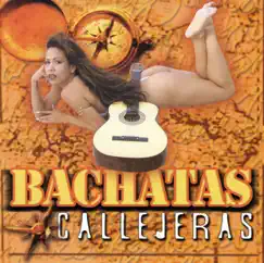 Bachatas Callejeras, Vol. 2 by Various Artists album reviews, ratings, credits