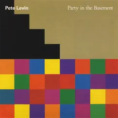 Party In the Basement Song Lyrics