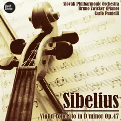 Violin Concerto in D Minor, Op.47: II. Adagio di molto Song Lyrics