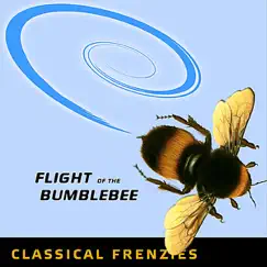 Flight of the Bumblebee Song Lyrics