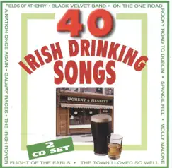 40 Irish Drinking Songs by Brian Roebuck album reviews, ratings, credits