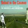 Naked In the Cosmos album lyrics, reviews, download