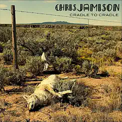 Cradle to Cradle by Chris Jamison album reviews, ratings, credits