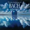 Brandenburg Concerto No. 6 In B-Flat Major, BWV 1051: II. Adagio Ma Non Tanto song lyrics
