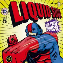 One-Two Punch by Liquid Soul album reviews, ratings, credits