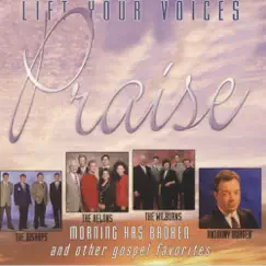 Lift Your Voices - Praise by Various Artists album reviews, ratings, credits