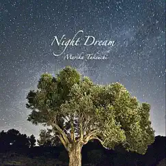 Night Photography Song Lyrics