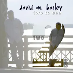 Two to See by David M. Bailey album reviews, ratings, credits