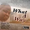 What a Way (Remixes) album lyrics, reviews, download