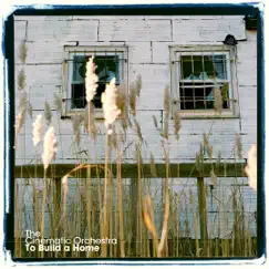 To Build a Home - Single by The Cinematic Orchestra album reviews, ratings, credits