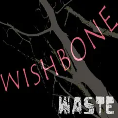 Waste by Wishbone album reviews, ratings, credits