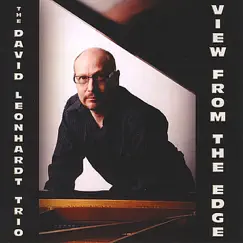 View from the Edge by David Leonhardt Trio album reviews, ratings, credits