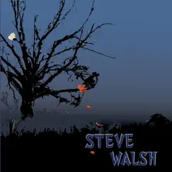 Dark Day / Faule Dr Roane - Single by Steve Walsh album reviews, ratings, credits