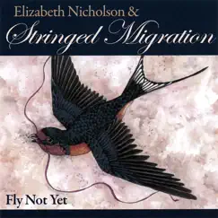 Fly Not Yet by Elizabeth Nicholson And Stringed Migration album reviews, ratings, credits
