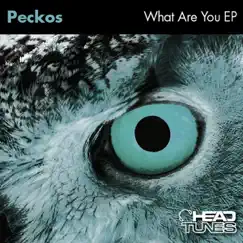 What Are You EP by Peckos album reviews, ratings, credits