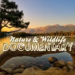 Nature & Wildlife Documentary (Music for Documentaries, Ambient, World Music, Landscapes, New Age) by Various Artists album reviews, ratings, credits
