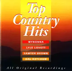 Top Country Hits by Various Artists album reviews, ratings, credits