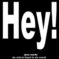 Hey! (the Bears Suck - Radio Edit) Song Lyrics