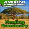 Healing Sanctuary (Nature Sounds) album lyrics, reviews, download