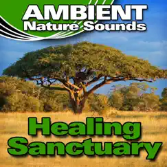 Healing Sanctuary (Nature Sounds) by Ambient Nature Sounds album reviews, ratings, credits