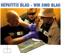 Wir Sind Blau 2010 (Summer Mix 2009) Song Lyrics
