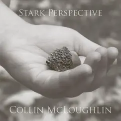 Stark Perspective - EP by Collin McLoughlin album reviews, ratings, credits