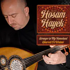 Stranger in My Homeland by Hosam Hayek album reviews, ratings, credits